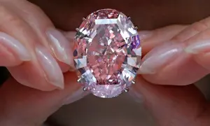 Dłonie trzymają olśniewający, owalny, różowy diament, prawdopodobnie najdroższy diament na świecie, błyszczący w świetle.